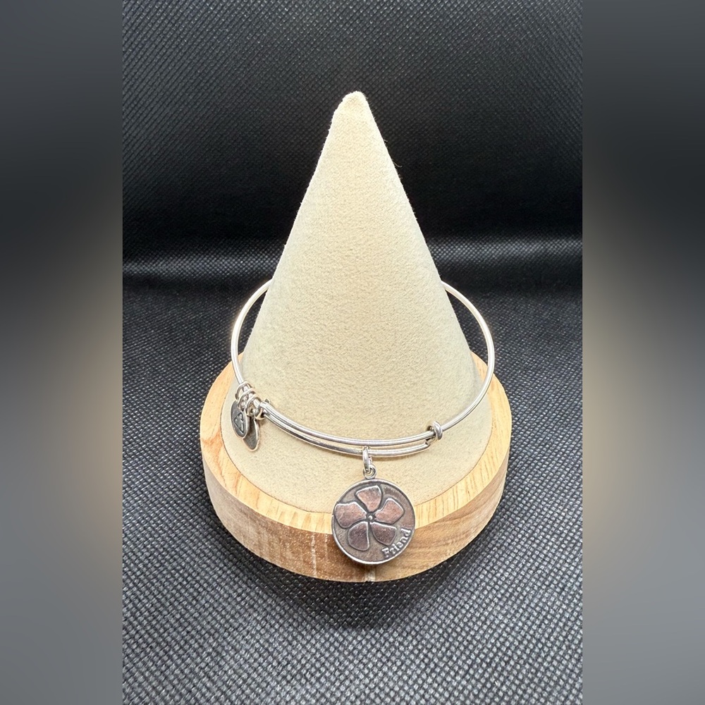 🩶ALEX AND ANI🩶Friend Charm Bangle in Rafaelian Silver/EUC